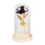 LED Rose Bedside Lamp Glass Night Light Birthday Gift Home Decoration (Purple)