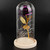 LED Rose Bedside Lamp Glass Night Light Birthday Gift Home Decoration (Purple)