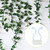50Pcs Climbing Plant Fixture Clips Garden Vines Sticky Clips Wall Vines Fixed Holder