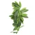 Artificial Reptile Plants Lifelike Plastic Plant Hanging Leaves Decoration with Suction Cup for Reptiles Terrarium Fish TankT-044 30CM