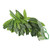 Artificial Reptile Plants Lifelike Plastic Plant Hanging Leaves Decoration with Suction Cup for Reptiles Terrarium Fish TankT-044 30CM