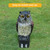 Horned Owl Decoy and 360° Rotating Head Owl Statue to Scare Birds Away for Patio Yard Garden
