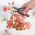 Strong Toughness Steel Bonsai Pruning Scissor Shear Gardening Flower Arrangement ToolType 3