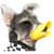 Anti Bite Duck Mouth Shape Dog Mouth Covers Soft Anti Bite Duck Muzzles Anti Called Muzzle Cover for Friends