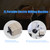 2L Portable Electric Milking Machine with Time Controller for Cow