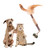 3Pcs Catnip Sticks Chew Sticks Cat Supplies Catnip Sticks for Molars Clean Molar Toys Set for Kitten Dental