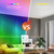 RGBCW Ceiling Lamp Full Color Dimming APP BT Remote Control Intelligent Voice Control Bedroom Round Ceiling Lamp