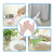 100pcs / box Disposable Gloves PVC Protective Gloves for Workplace OutdoorM