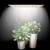 Full Spectrum LED Plant Growth Light Board Supplement Light for Indoor Plants Seedling Growth Lamp Plant Light Panel with 3/6/12H Smart Timer 6 Dimmable Levels, One Drag Two