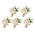 5PCS Wedding Boutonniere Pin Fixed Plastic Artificial Flower Corsage for Bride and Groom Champagne