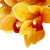 6 Stem Faux Orchid Decor 3D Printed Silk Flowers Iron Wire Stem Orchid Floral Decorations for Weddings Parties Yellow