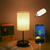 Shineslay Table Lamp Bedside Desk Lamp for Bedroom Living Room with E27 LED Bulb Touch Control Warm White Light Modern Tabletop Lamp 2 USB Ports 2 Power Sockets