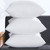 Foamily Premium Hypoallergenic Home Goods Stuffer Pillow Insert Sham Square Form Polyester 45X45CM Standard/White
