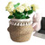 Natural Woven Straw Basket Foldable Woven Storage Basket Plant Straw Basket