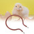 Incubator Heater Circular Heating Element Incubator Accessories (200W Small Circular)