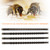4Pcs Bee Cell Bars Strips with 50Pcs Cell Cups Beekeeping Queen Rearing Tool Supplies
