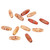 200Pcs DIY Wood Beads Oval Shape Painted Wooden Bead Kit Jewelry Making Accessories 23x8mm