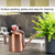 300ml Small Stainless Steel Watering Can Plant Flower Long Spout Sprinkling Pot for Home Use