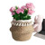 Natural Woven Straw Basket Foldable Woven Storage Basket Plant Straw Basket