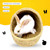 Rabbit Grass House Hamster Grass Nest Robust Handwoven Grass Tunnel Hut Sleeping Nest