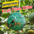 4pcs Hanging Fly Trap Ball Fruit Fly Catcher Sticky Trap Outdoor Pest Catcher for Garden Plants