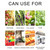4pcs Hanging Fly Trap Ball Fruit Fly Catcher Sticky Trap Outdoor Pest Catcher for Garden Plants