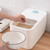 Rice Storage Container with Cup Transparent Push Pull Airtight Sealed Food Grain Organizer for Home Kitchen 10kg