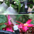 Garden Patio Water Mister Air Misting Cooling Micro Irrigation System Sprinkler 25M&30 dripper-heads