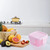 Food Storage Container PP Sealed Mini Food Container for Pet Food Medicine Fish Bait Hook Jewelry Pink
