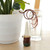 4pcs Automatic Self Watering System Flower Plant Water Drip Irrigation Sprayer