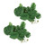 2PCS Artificial Water Plant Simulation Vine Lifelike Plastic Leaves Decoration with Suction Cup for Fish TankMonstera Leaves