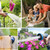 50ft Flexible Garden Water Hose Expandable Water Hose Nozzle with 10 Adjustable Watering Spray Patterns Brass Fittings Connectors for Watering Garden Cleaning Washing