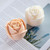 6 Cavity Rose Mousse Cake Mold Holiday Party DIY Hand Soap Chocolate Baking Mold