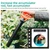 Portable Pump Pressure Garden Sprayer 1.32 Gallon / 5L Lawn and Garden Portable Sprayer with Pressure Release Valve / Rotatable Spray Lance / Adjustable Shoulder Strap in Lawn Yard Weed