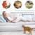 8pcs Cat Scratch Furniture Protector Pad Pet Couch Protector Cat Dog Claw Guards  with 20pcs Pins