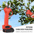 36V Cordless Electric Pruning Shears Portable Garden Shears Tree Trimmer Branch Cutter with Lithium Battery Adapter for Gardening