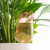 Cute Bird Plant Watering Spikes Self Watering Spikes Automatic Plant Waterer Seeper for Lawns and Potted Plants