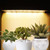 LED Plant Growth Light Board Full Spectrum Supplement Light for Indoor Plants Plant Grow Light Panel for Seedlings Veg Bloom Succulents with Smart 24-hour Cycle Timing 3/6/12H 6 Dimmable Levels, One Drag One