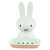 Soap Box Draining Case Wall Mount Holder Rack Plastic Home Decoration for Bathroom Toilet Green Coffee