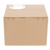 Stealing Coin Cat Cute Ingenious Automatic Stealing Money Children Money Saving Box for Money Saving English White Cat