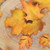 4PCS Fall Leaves Cutter Set Maple Leaf Cutter Set Washable Durable Christmas Leaf Cutting Mold
