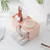 Desktop Storage Drawer Cosmetic Storage Box Plastic Organizer for Jewelry Stationery