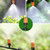 Automatic Drip Irrigation Kits for Garden 2x15m 4/7-inch Dispensing Tube DIY Garden Watering Irrigation System for Greenhouse Flower Bed Patio Lawn