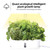 Indoor Garden Hydroponics Growing System Full Spectrum 2.5L Water Tank 10 Pods Plant Germination Kit Height Adjustable Automatic Timer Vegetable Growth Lamp Countertop with LED Grow Light for Vegetable Fruit Plant Flower