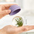 Bulb Shaped Ice Ball Mold Silicone Ice Ball Maker Mold Easy Release Round Ice Mold for Home Use