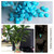 100PCS Glowing Stones For Decorations Fish Tank Aquarium Luminous Stone Indoor Outdoor Zen Garden Stones Rocks Glow in the Dark Pebbles