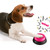 Small Size Easy Carry Voice Recording Sound Button for Kids Interactive  Answering Buttons Orange+Pink+Blue+Green