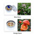 Soy Wax Candle in Metal Tin Dry Flower Crystal Stone Aromatherapy Candles for Bath Healing Spa Meditation Gift for Women