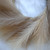 Simulation Reed Wreath Artificial Pampas Grass Wreath for Front Door Wall Decoration