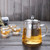 Glass Teapot with Removable Stainless Steel Filter Tea Maker Blooming and Loose Leaf Tea Pots